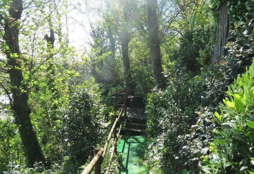 ホテル B&b Tana Della Volpe