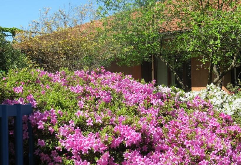 ホテル B&b Tana Della Volpe