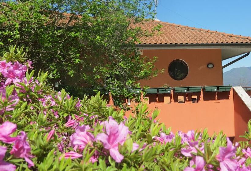 ホテル B&b Tana Della Volpe