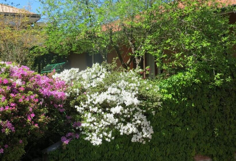 ホテル B&b Tana Della Volpe