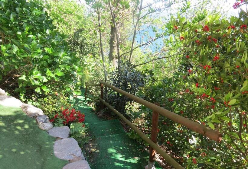 ホテル B&b Tana Della Volpe