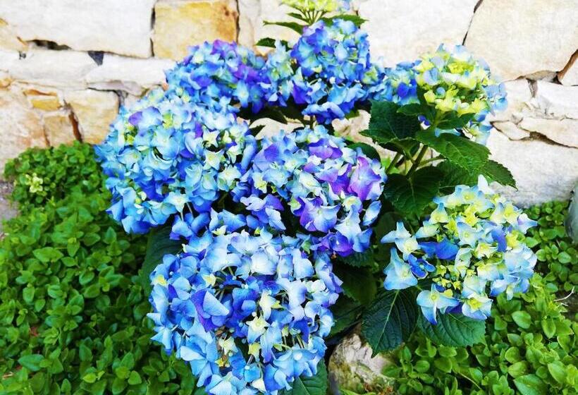 هتل Chalet Del Mare