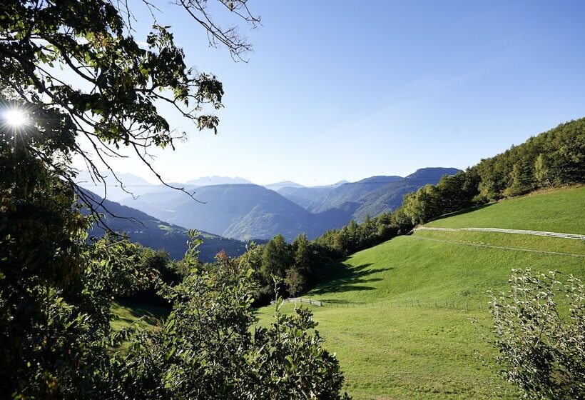 Отель Chalet Grumer Suites&spa