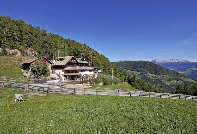 Отель Chalet Grumer Suites&spa