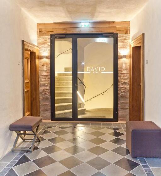 Hotel David An Der Donau