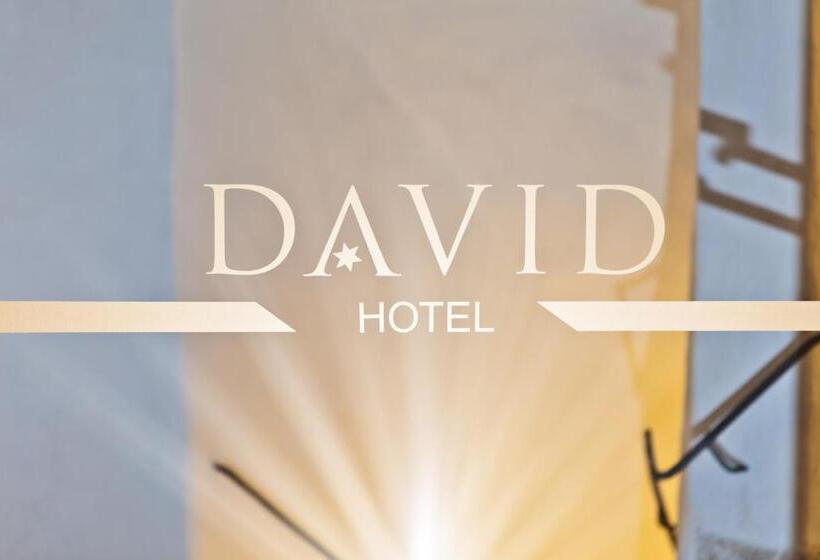Hotel David An Der Donau
