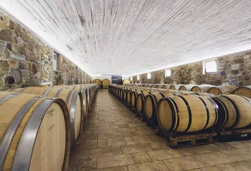 ホテル Il Roncal Wine Resort  For Wine Lovers