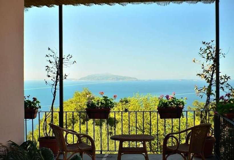 בית מלון כפרי Le Ginestre Di Capri Bb & Holiday House