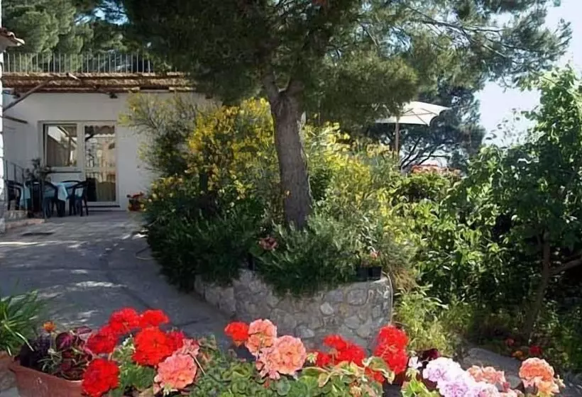 هتل Le Ginestre Di Capri Bb & Holiday House