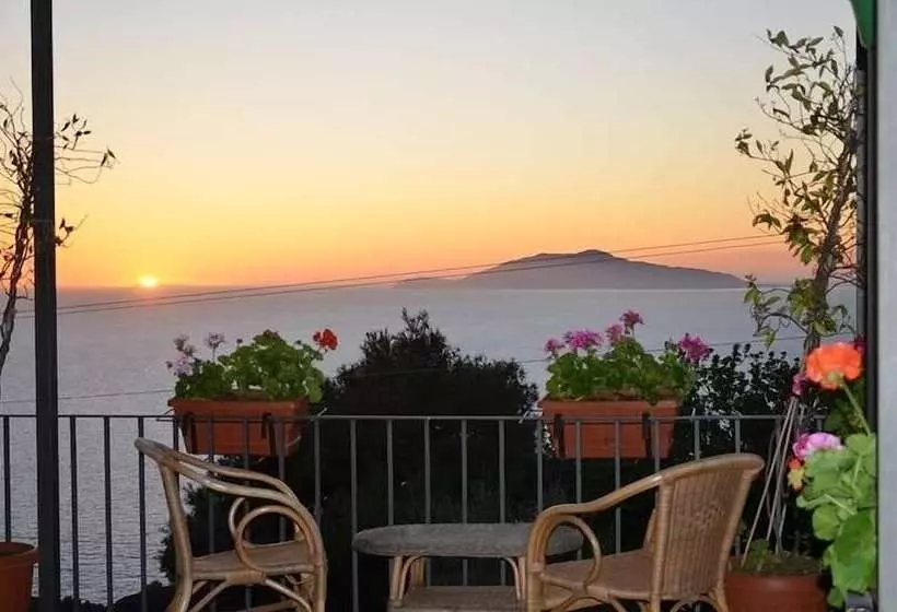 هتل Le Ginestre Di Capri Bb & Holiday House