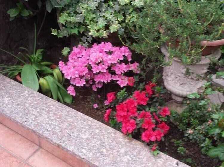 בית מלון כפרי Renato