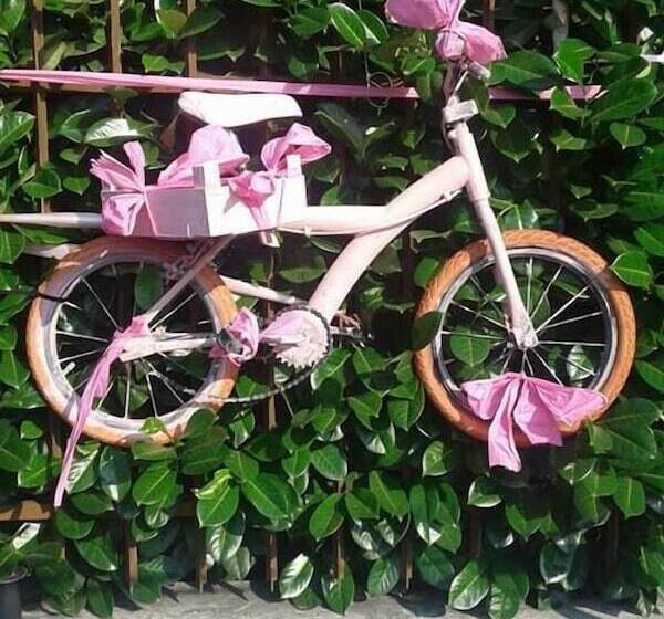 בית מלון כפרי Renato