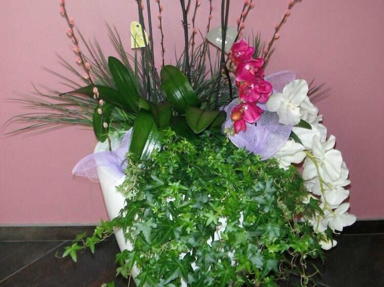 בית מלון כפרי Renato