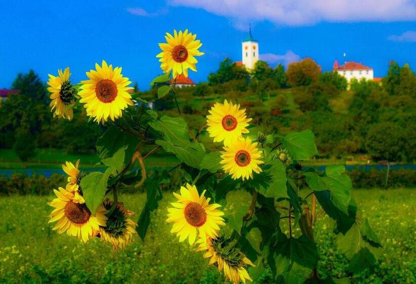 Hotel Restaurant Alpha