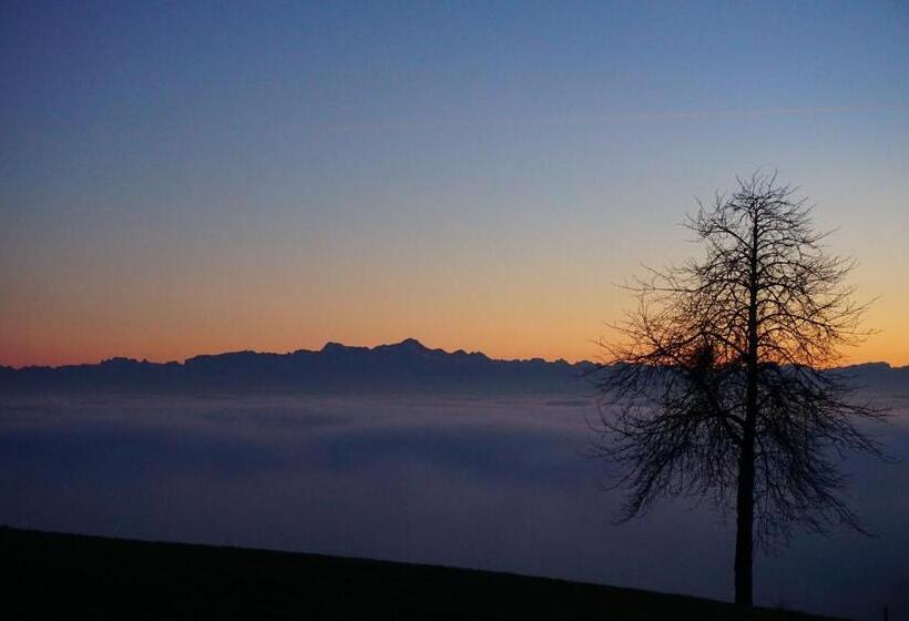 Hotel Restaurant Alpha