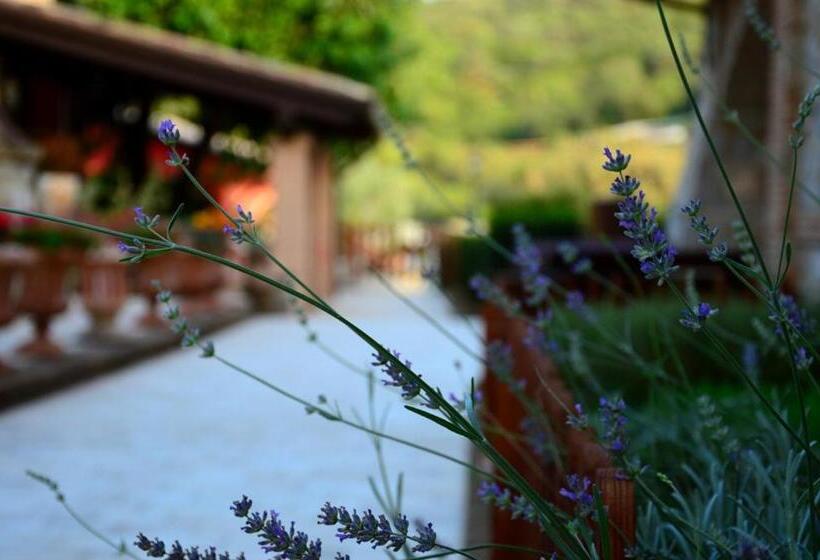 فندق Sarand Relais Adults Only