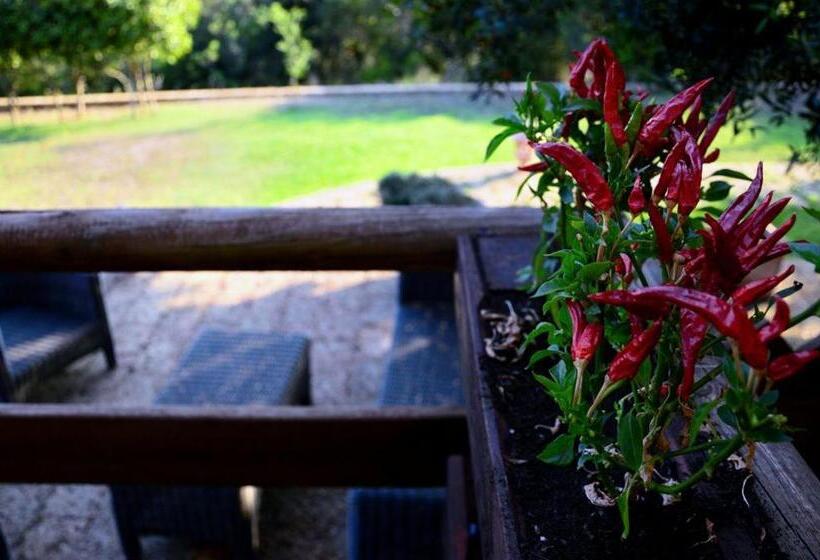 فندق Sarand Relais Adults Only