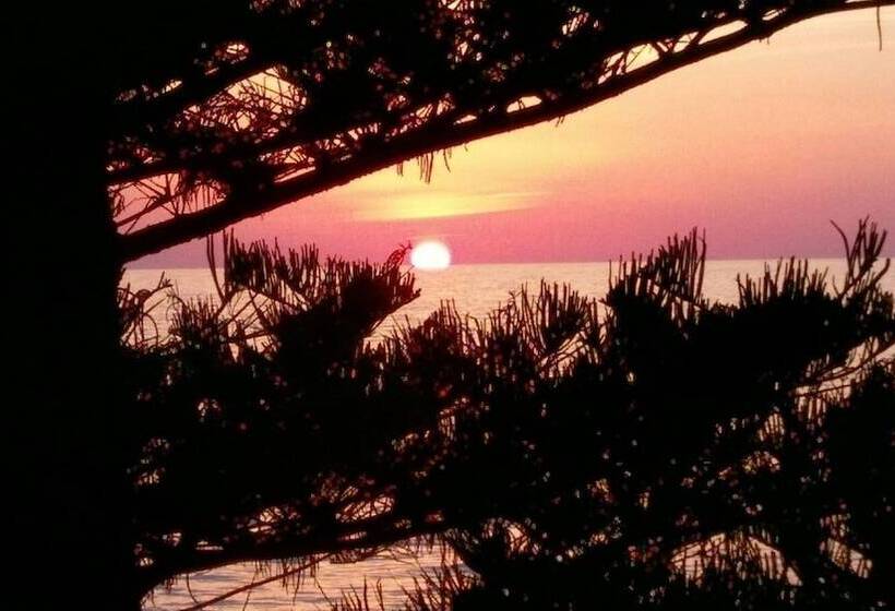 בית מלון כפרי Suitebeach B&b And Resort