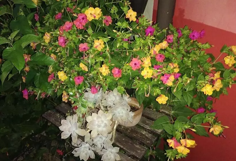 ホテル A Casa Di Sandra