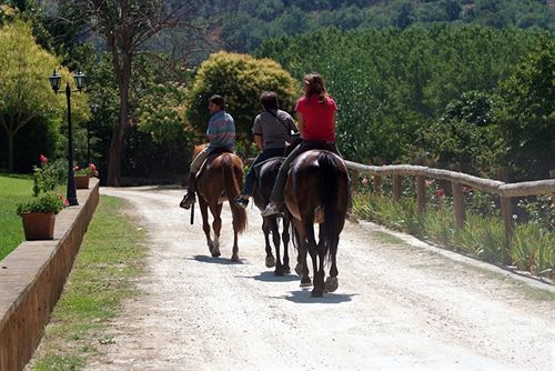 فندق Agriturismo Savoca