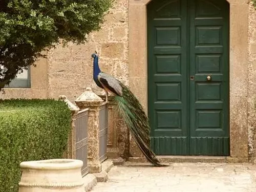ホテル Agriturismo Savoca