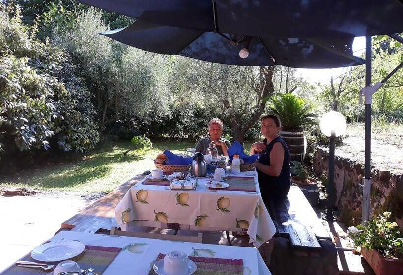 בית מלון כפרי Case Zuccaro