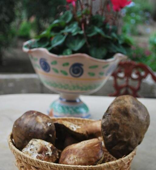 בית מלון כפרי Case Zuccaro