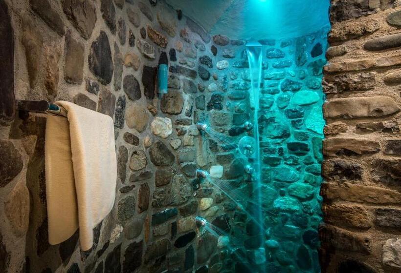 בית מלון כפרי Gran Ciasa