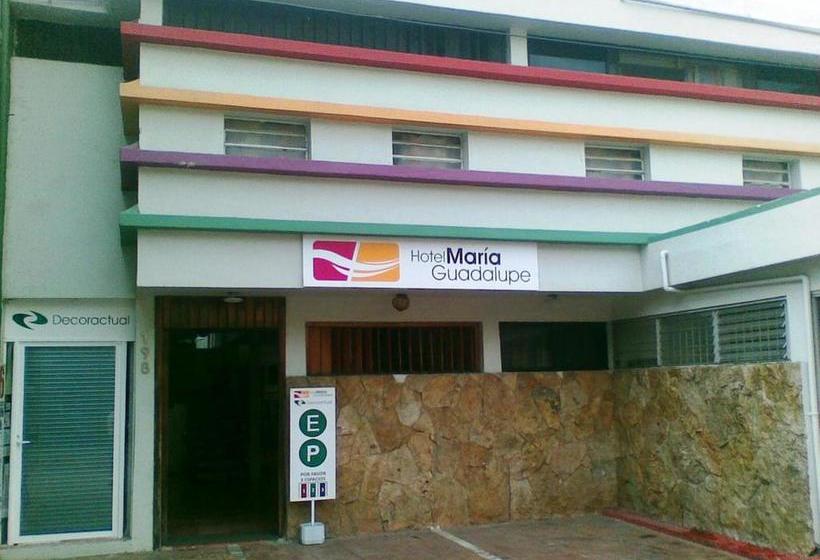 호텔 Maria Guadalupe