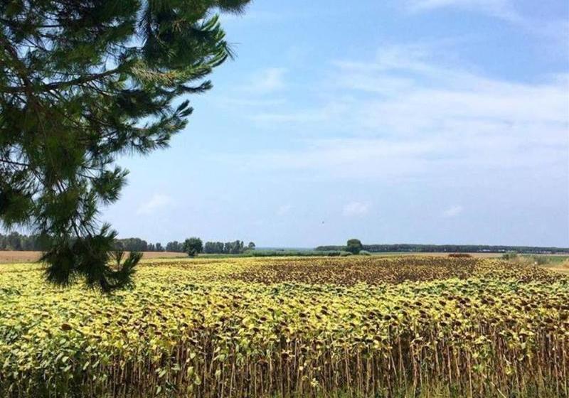 Hotelli Podere Giulio