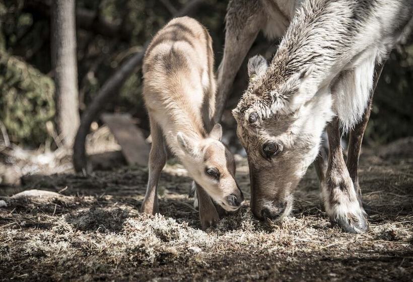 Hotelli Royal Und Ferienhaus Annabel