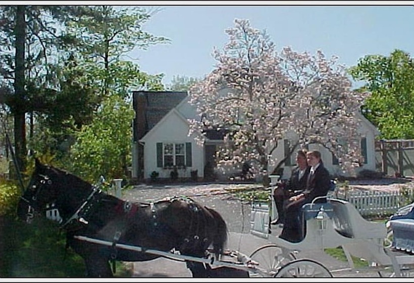 Szálloda St. Andrews House Bed And Breakfast