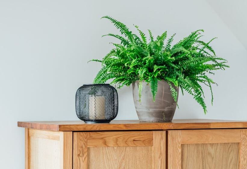 Aparthotel Pumpengasse