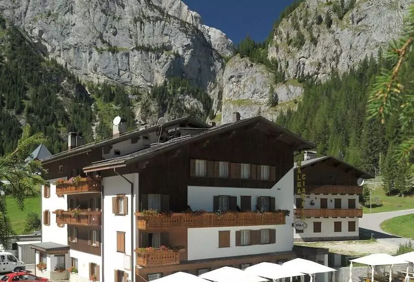 ホテル Albergo Malga Ciapela