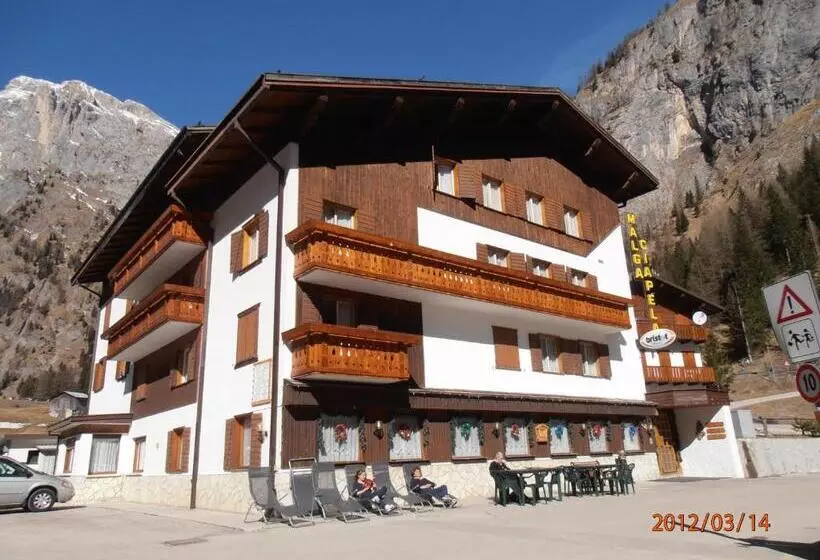 ホテル Albergo Malga Ciapela