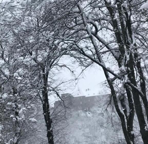 ホテル Alt Montjoie