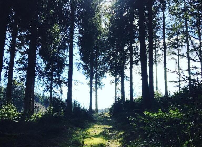 ホテル Alt Montjoie