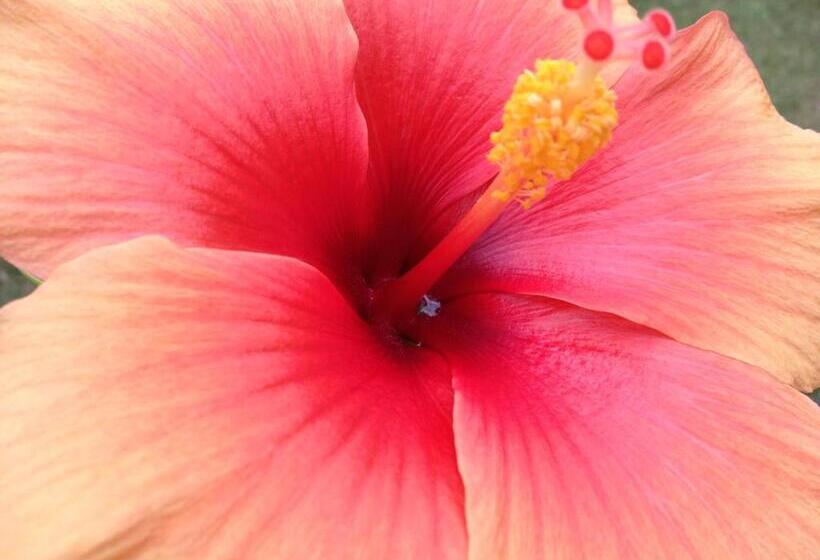 فندق Fattoria Abbazia Monte Oliveto