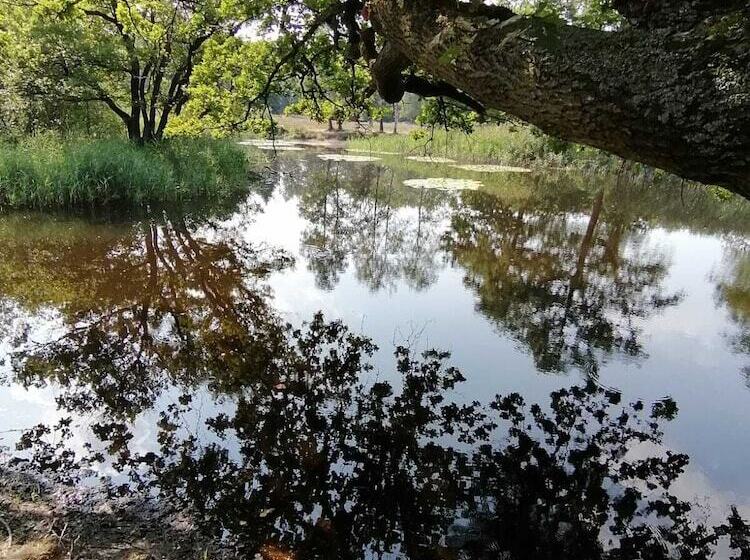 酒店 Haus Hildegard   Garni 3 Sterne Superior