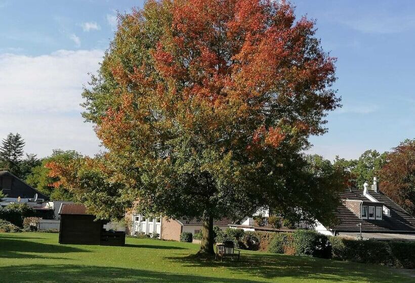 酒店 Haus Hildegard   Garni 3 Sterne Superior