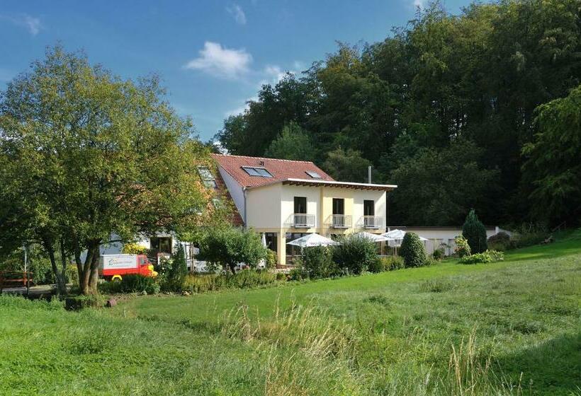 酒店 Landgasthof Mücke