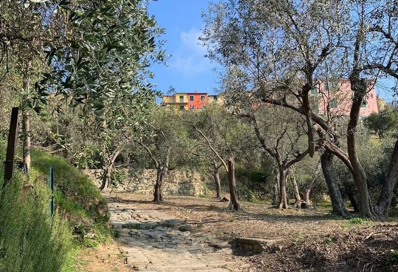 Отель Albergo Luna Di Marzo