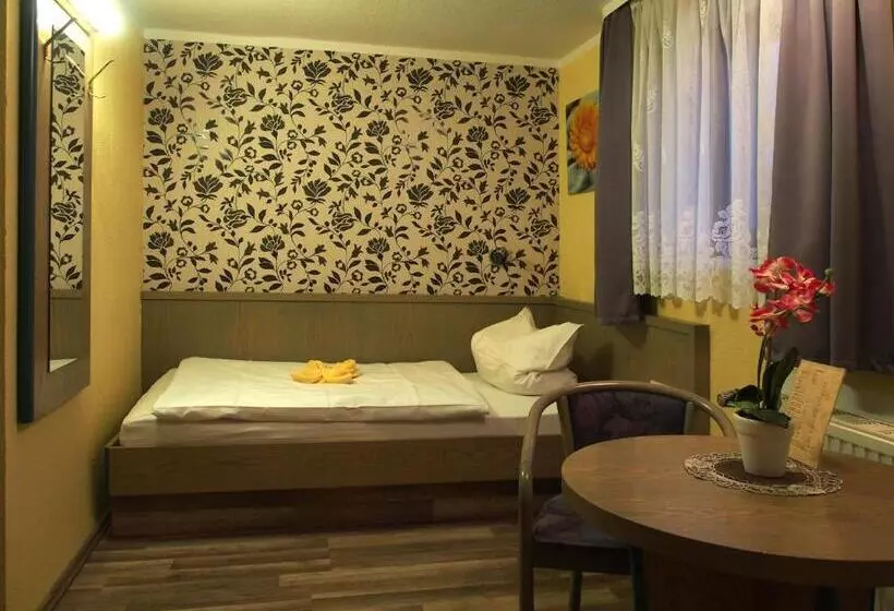 ホテル Pension Ottendorf Okrilla