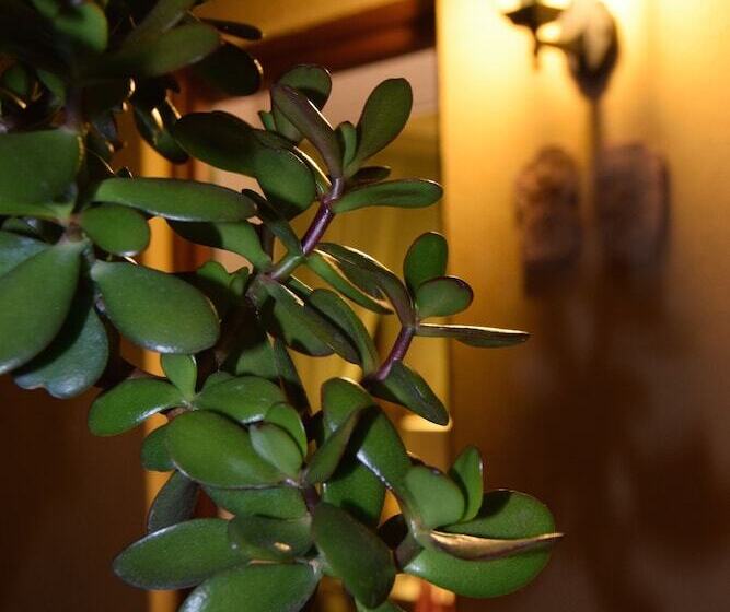 ホテル Residenza Le Due Torri