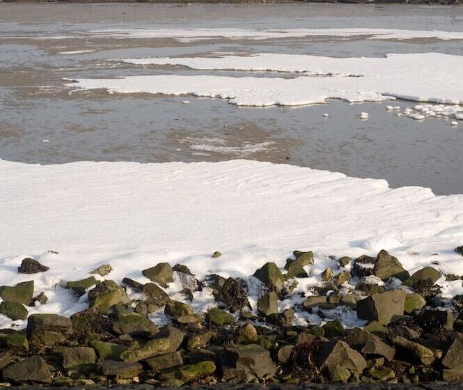 فندق Restaurant De Boekanier