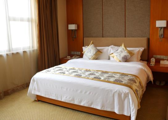 فندق The Grand Plaza