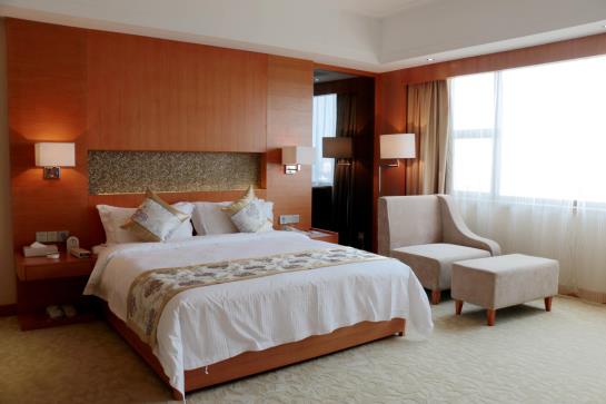 فندق The Grand Plaza