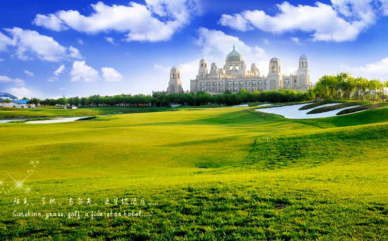 فندق Shengtai International