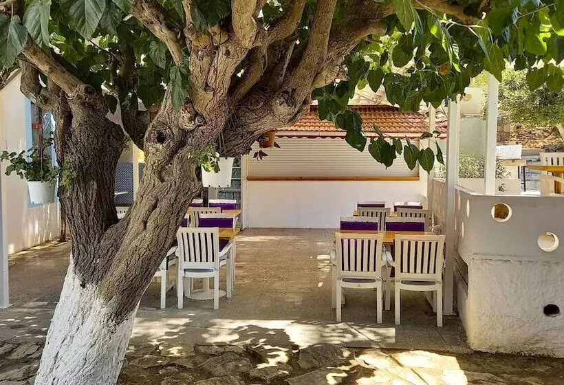 Hotel Tropicana
