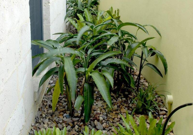 By The Beach B&b Self Contained Apartments